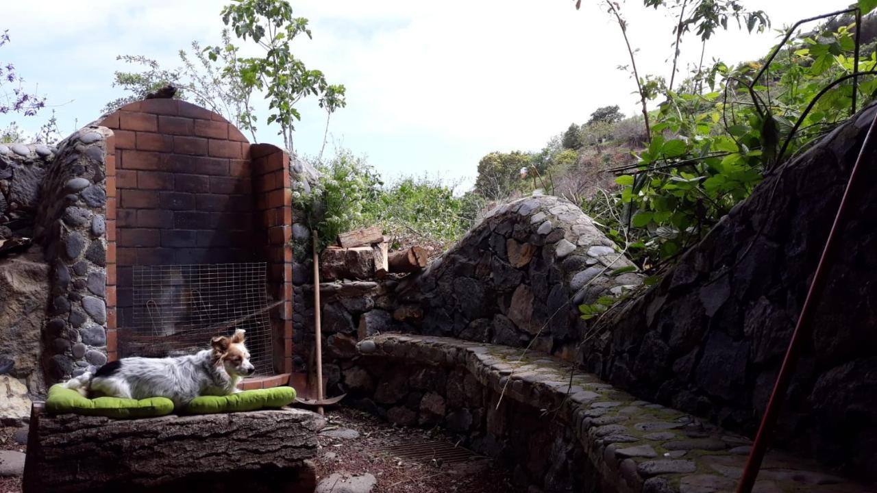 Finca Rural House Tenerife Relax And Enjoy Pension Santa Úrsula Buitenkant foto