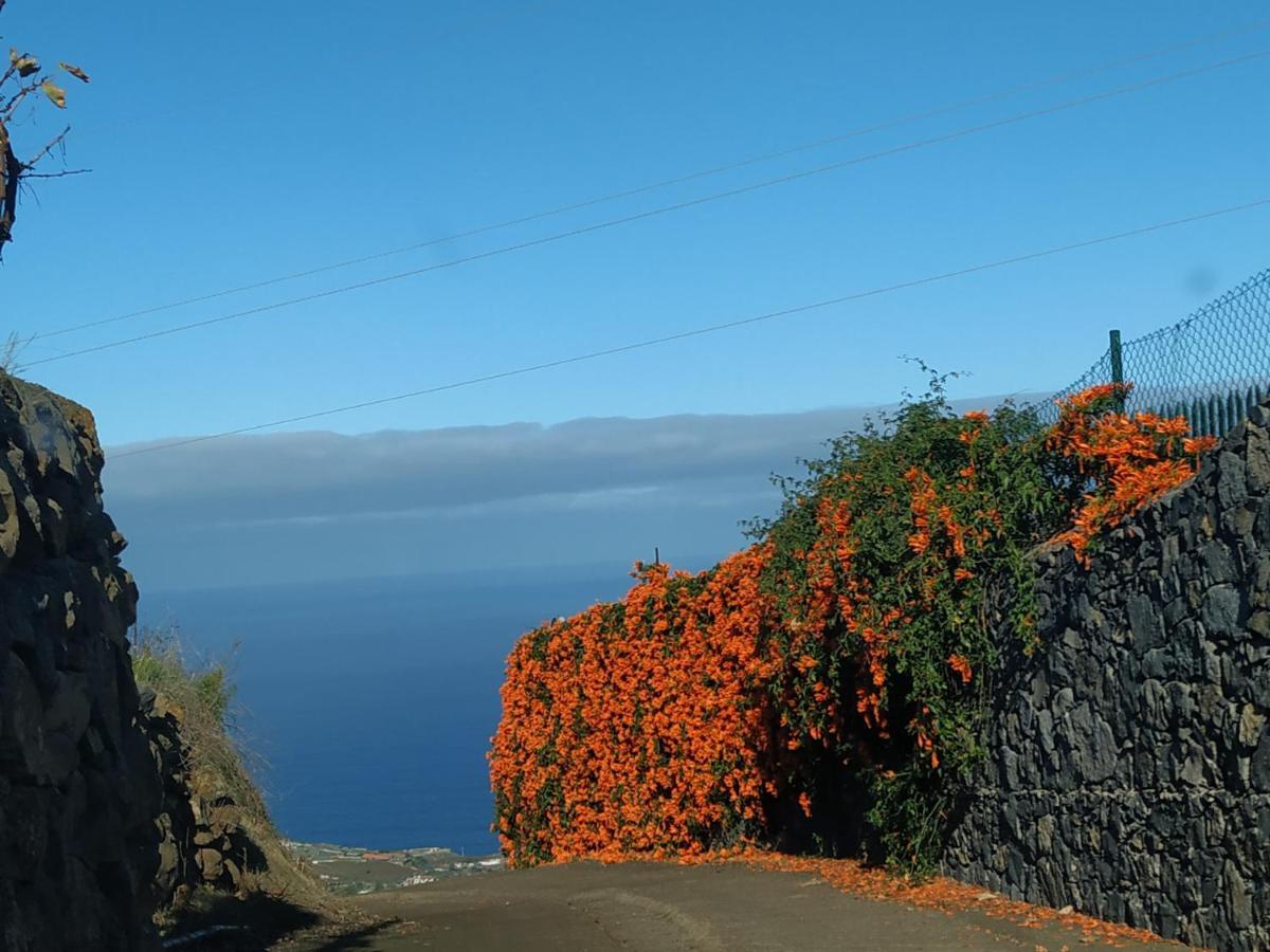 Finca Rural House Tenerife Relax And Enjoy Pension Santa Úrsula Buitenkant foto