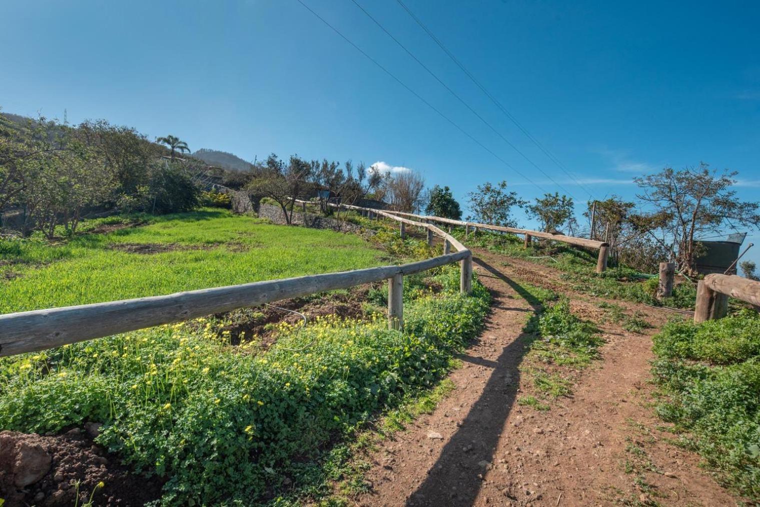 Finca Rural House Tenerife Relax And Enjoy Pension Santa Úrsula Buitenkant foto