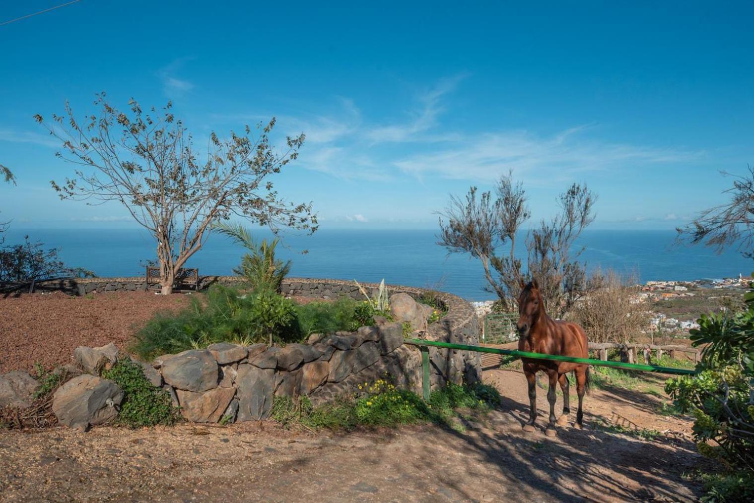 Finca Rural House Tenerife Relax And Enjoy Pension Santa Úrsula Buitenkant foto