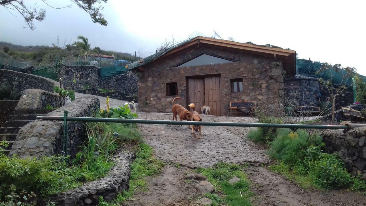 Finca Rural House Tenerife Relax And Enjoy Pension Santa Úrsula Buitenkant foto