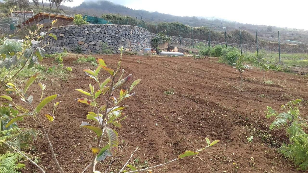 Finca Rural House Tenerife Relax And Enjoy Pension Santa Úrsula Buitenkant foto