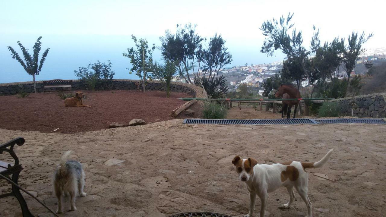 Finca Rural House Tenerife Relax And Enjoy Pension Santa Úrsula Buitenkant foto